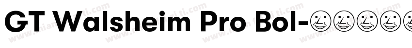 GT Walsheim Pro Bol字体转换